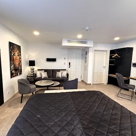 Rhein St. Martin 3* Cologne