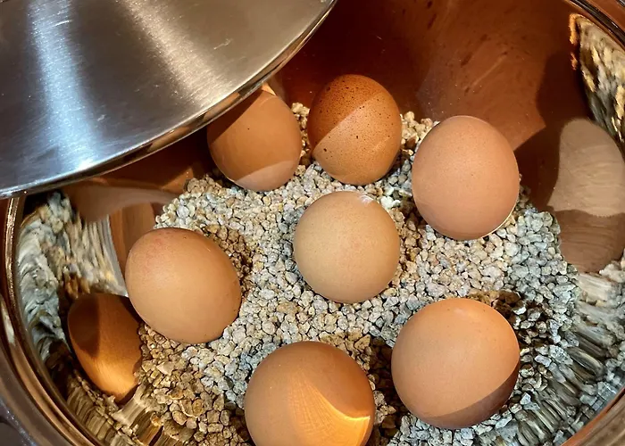 Rhein St. Martin 호텔