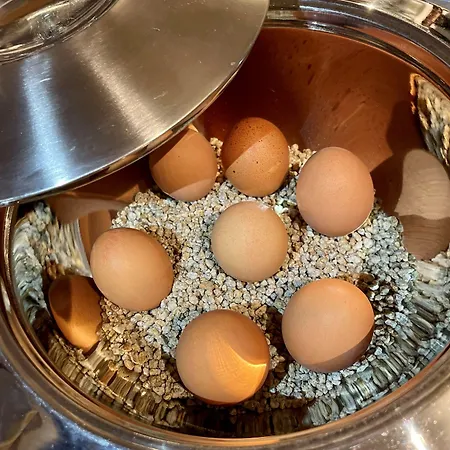 Rhein St. Martin Hotel